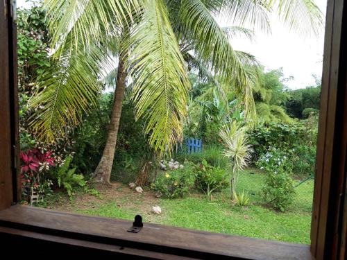 View, Les Fougeres in Baie-Mahault