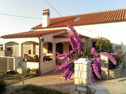  Villa Persic, Pension in Olib