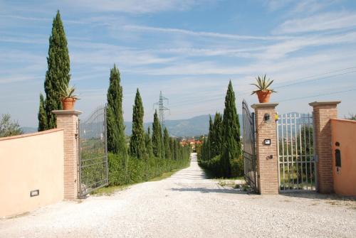 Apartments in Cerreto Guidi/Toskana 23873