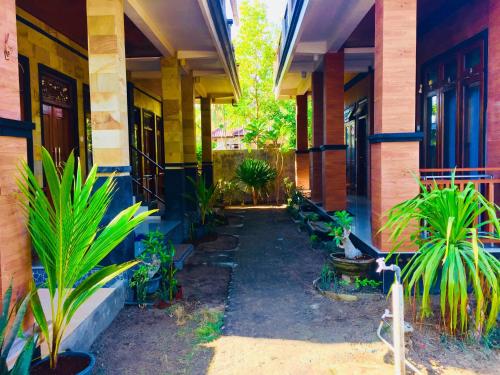 tuin, Bima Homestay Lembongan in Nusa Lembongan