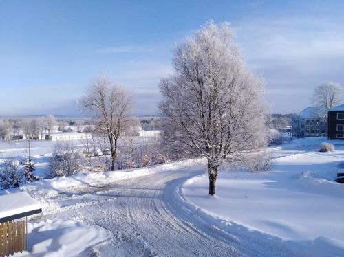  Terrasses de Malmedy Triplex 256 in Malmedy