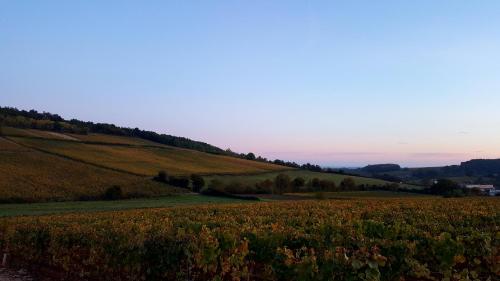 La Cadole de Chardonnay