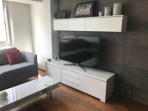 Acogedor & Hermoso departamento en Polanco, Ciudad de México (foto 2)