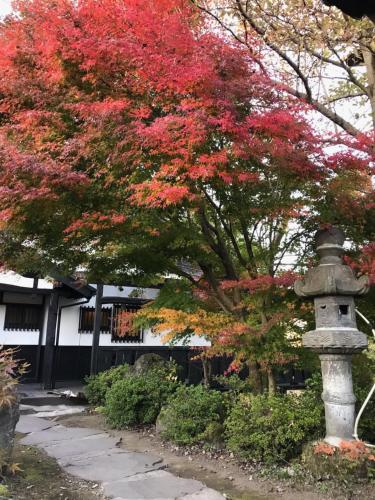 Kurokawa Mori no Cottage