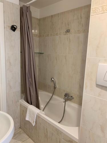 One-Bedroom Apartment (4 Adults) image 4