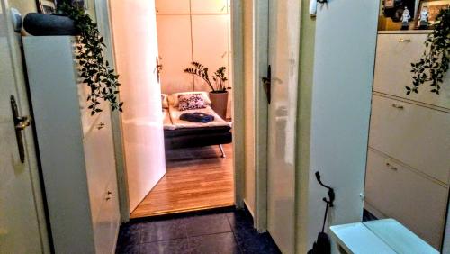 WestEnd Apartment 5