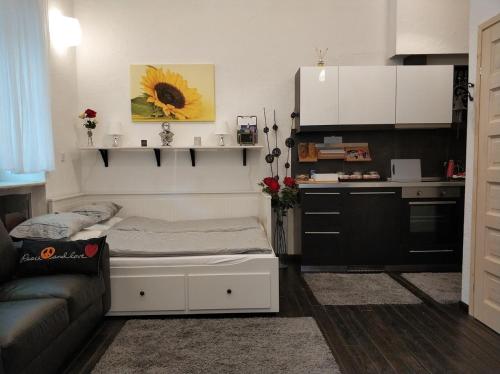 Belvarosi Apartmanszallo - Kiskunfelegyhaza in Kiskunfelegyhaza