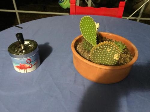 Surfer's Cottage - image 5