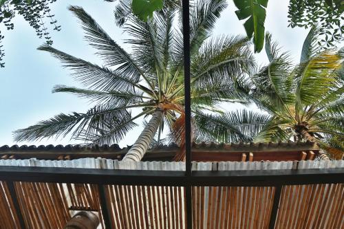 Garden, Santuario Getsemani Hostel in Cartagena