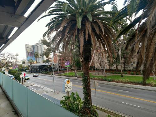 Highland Gardens Hotel - image 5