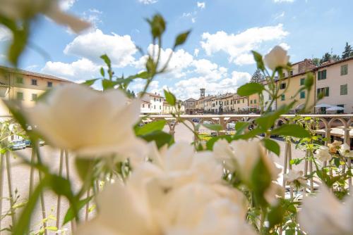 Suite Greve in Chianti Room Type - Suite with Terrace