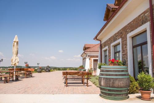 St Peter Vini obrázok