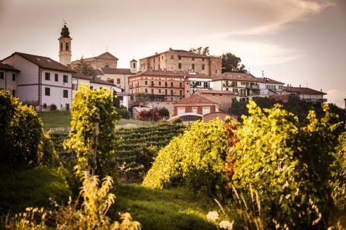 Villa Vinory - Tenuta il Sogno - Accommodation - San Marzano Oliveto