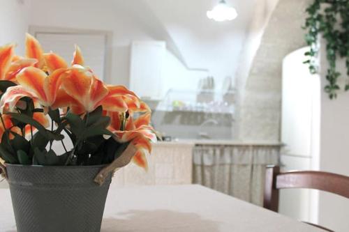 La Casa in Centro - Apartment - Martina Franca