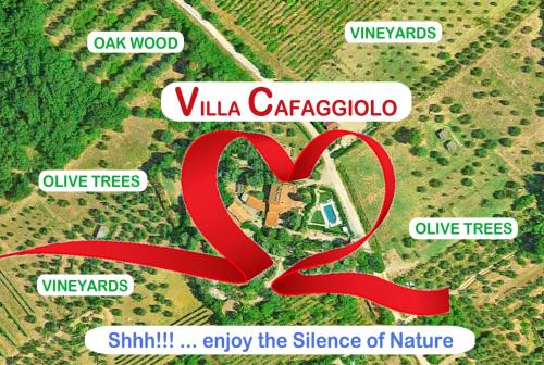 Villa Cafaggiolo apt MICHELANGELO gîte à louer Pontassieve