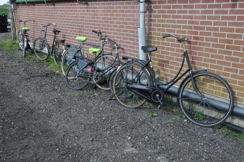 Your Cozy Waggon at the Cows' Paradise, Amsterdam (photo 5)