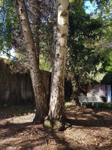 B&B 1 uit de 100 5