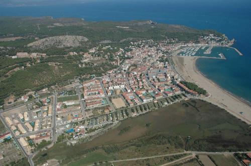 Palmeres
