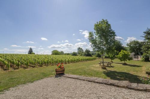 Le Gite de la mère Poulot - main image