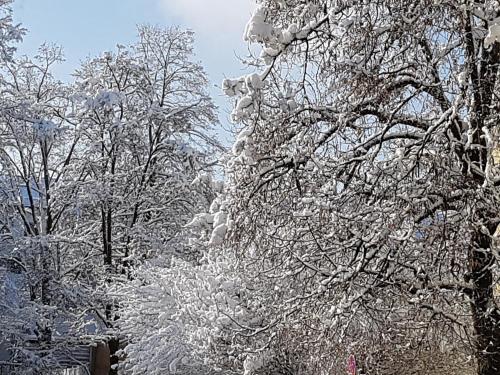 Staś -przy szkole nr 3 w Skawie