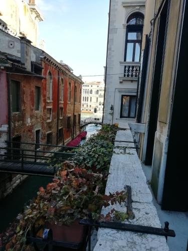Cà Mocenigo Nobile, Venice (photo 10)