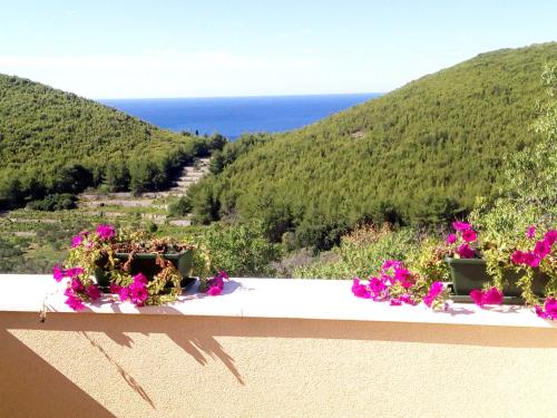  Holiday apartments Maslina Paho in Babino Polje