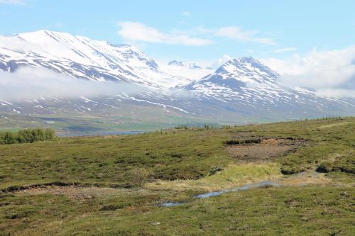 Dalvík Vegamót Cottages - main image