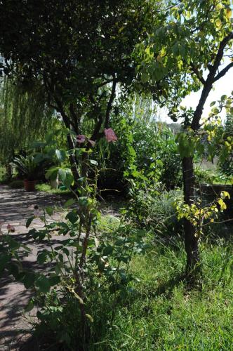 Apartment with Garden View