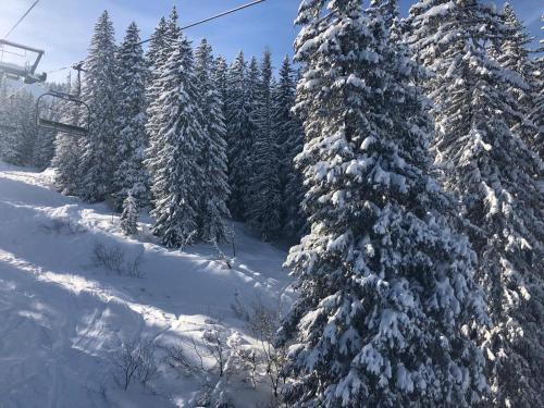  La Providence in Morgins