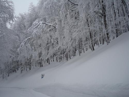 Appartamento Rialto Terminillo