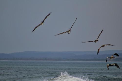 Suite San Juan 135 Gran Pacifica Resort