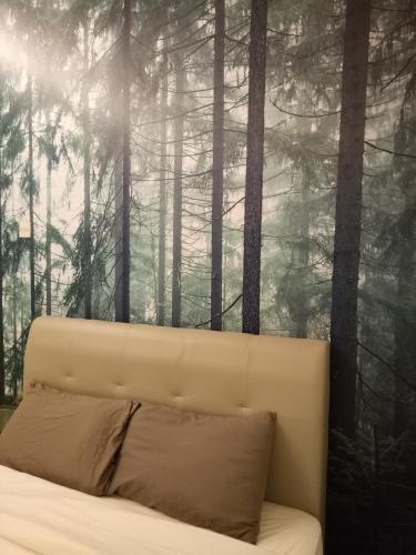 NATURE @ FOREST CAMERON 15 NATURE @ FOREST CAMERON 15