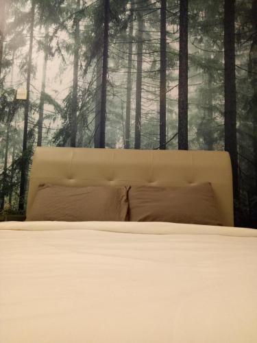 NATURE @ FOREST CAMERON 15 NATURE @ FOREST CAMERON 15