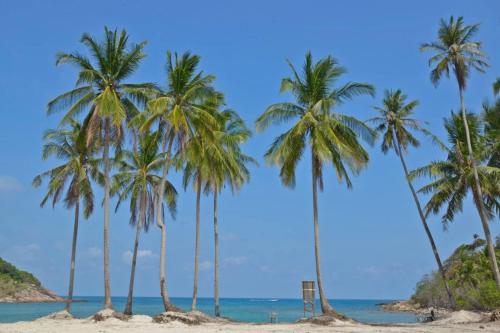 Strand, Delima Redang Resort in Redang-sziget