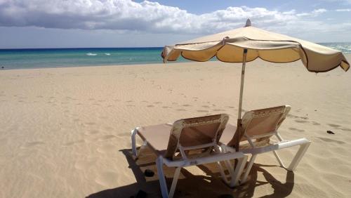 Your Ocean Window Your Ocean Window