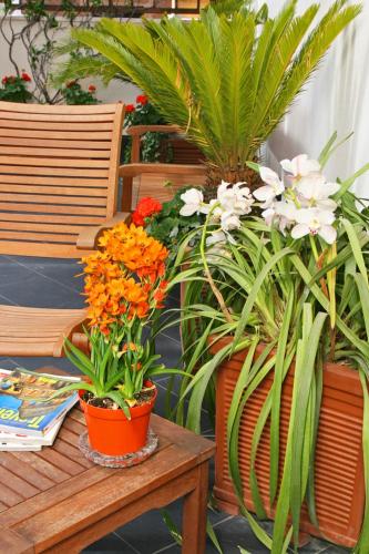 ホテル アルカンジェロ