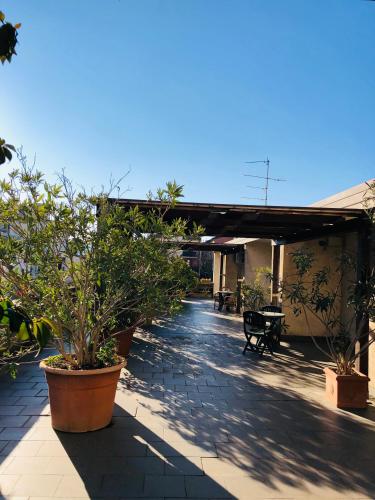 Hotel Delfina - image 6