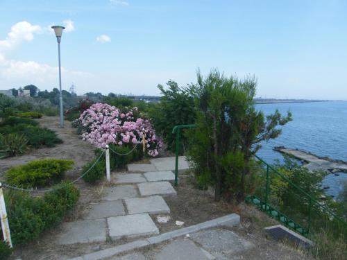 Vila Andreea - image 3