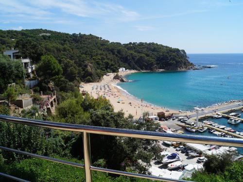 Papaya, Lloret de Mar (fotografie 5)