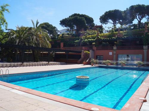 Papaya, Lloret de Mar (fotografie 6)