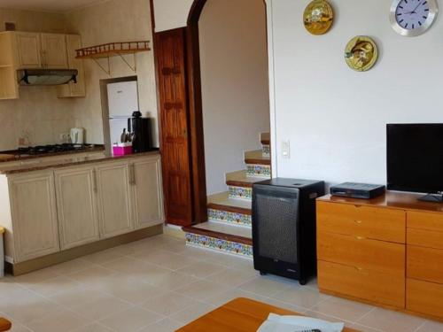 Papaya - image 6