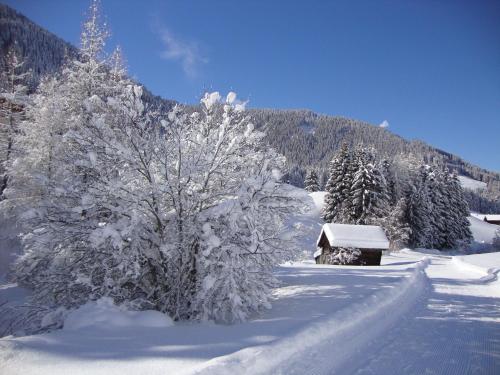 Haus Annemarie Apartments Kartitsch - Hochpustertal