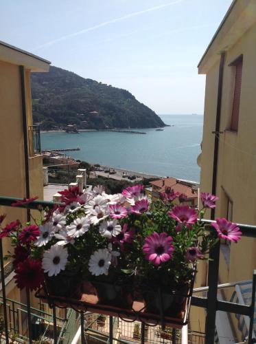 Calipso, Levanto (foto 5)