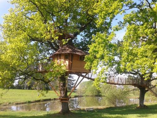 Cabane Perchée dans les Arbres