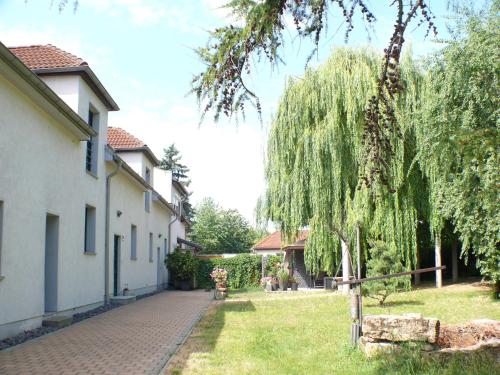 Apartment im Grünen mit Anbindung ans Zentrum