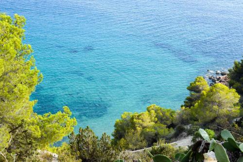 Viglamo Domaine Presqu'île de La Franqui