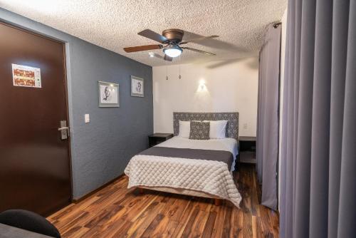Hotel delf-inn - image 4