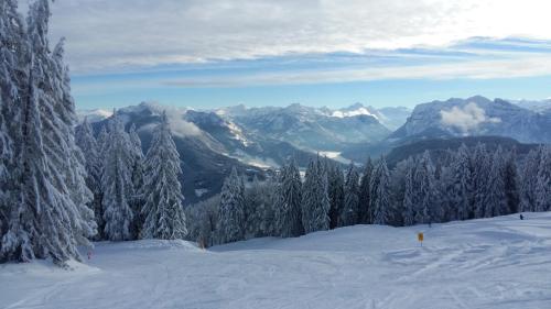 Ferienwohnung Wertvollholzhaus in ชวาร์เซนแบร์ก