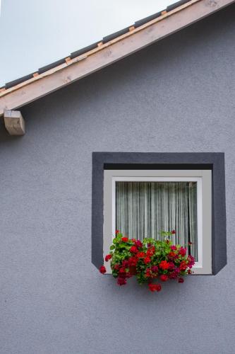  Orchidea Apartman, Pension in Balatonkenese