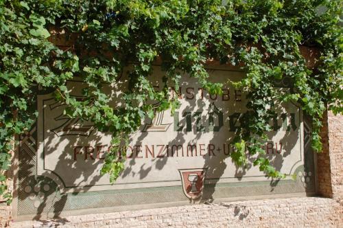 Zur Lindenau - image 8